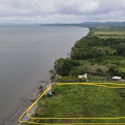 jorgeleonruizr's profile picture. Promotor cultivos de Palma de Aceite en Urabá, Energía Solar. Venta de lotes- Contiguo a Puerto Antioquia Cel. 3122882445
