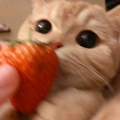 qxx001's profile picture. 喜ばせ屋さん