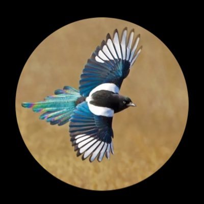 HMagpie25's profile picture. Servant of the Most High God Jesus Christ. Mother. Patriot.