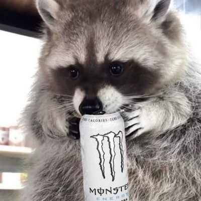 Mteru132023's profile picture. -•Hi soy māteru tu Yokai que te va dibujar de una manera extravagante•-

-•manager: @Managerrkun •-

-•dibujo a quien me lo pida•-