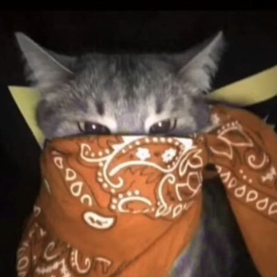 DarioLitardo2's profile picture. tangled dreams