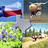 bfbco's profile image