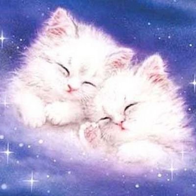 lispecterice's profile picture. eu contra o mundo