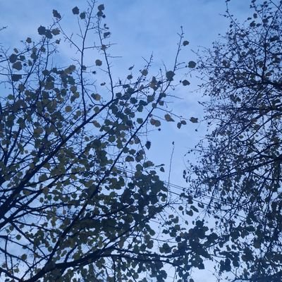 thelastmanmoder's profile picture. Life is short anyway.

📨DMs are open.