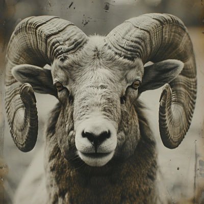 Liamolivers's profile picture. keep it real MANAGEMENT, travels 🇺🇸 🇬🇧 🇫🇷 🇹🇭 🇨🇦