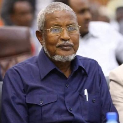 AliA68068's profile picture. Studied Economics and Business Administration (Bachelor’s) at Mu’tah University 📍Jordan 👨🏽‍🎓✉️➡️Soon-to-be Politician 🇸🇴🇹🇷