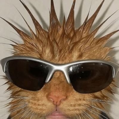 feijoaholique's profile picture. yukiakari my love, my goat, my princess, my life support, my everything 🤲🏻🩵 i also collect paper, game & watch esports sometimes