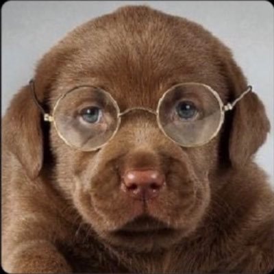 pepsibong's profile picture. 