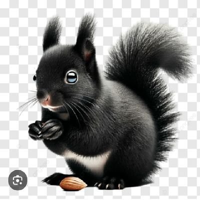 0MumulM1PVSqDMV's profile picture. 🐿️リスナー用🐿️ネガツイ多しフォロバ不要😱闘病中😵‍💫朝昼晩毎日希死念慮🏥病気や未知の情報👂日記📝楽しみ認知リハビリ投稿以外💤ほぼ休止状態💤＃精神疾患を持つ人と繋がりたい#病み垢さんと繫がりたい🙏穏やかな話しと居場所求む🙏