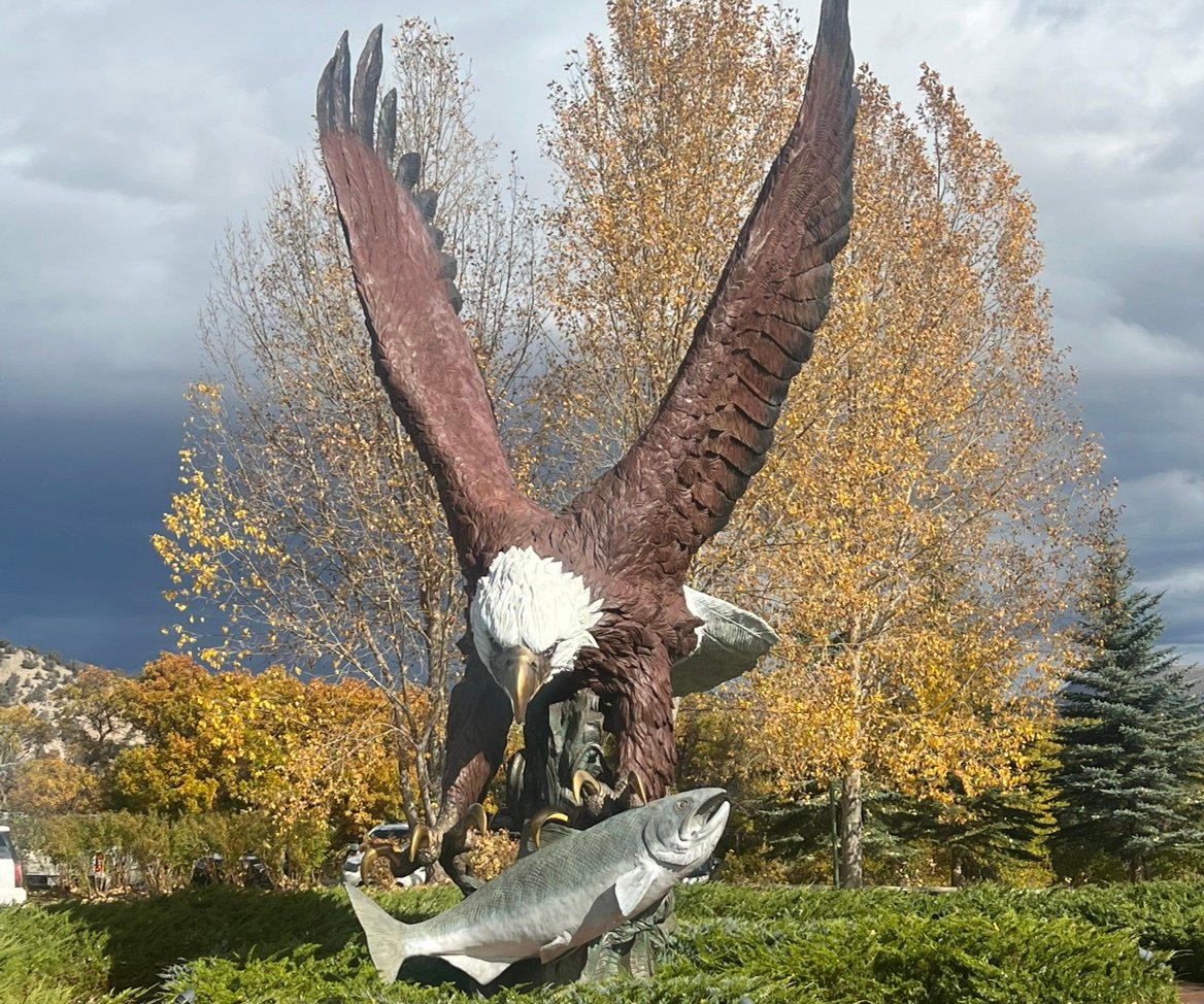 JasperHoolihan's profile picture. Just having fun