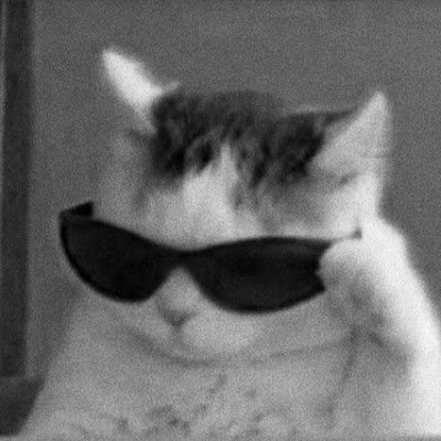 arkan83838's profile picture. 