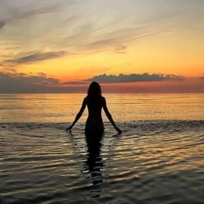 roserose0712's profile picture. 