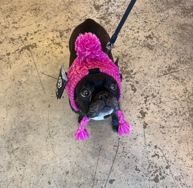 mamafrenchi's profile picture. 