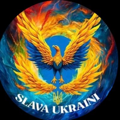 Oleksandrm21311's profile picture. врятувати Україну