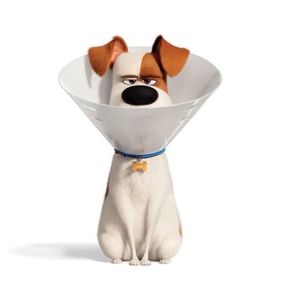 1gumpaa0's profile picture. 🦆ดื้อซนได้เต็มที่เดี๋ยวหาทางรับมือเอง🐰