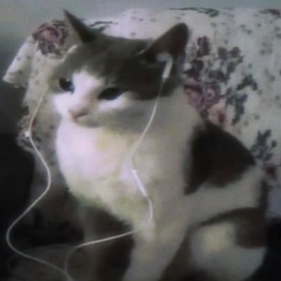 miffyv_v's profile picture. ・cute stuff・ ✦୨୧✦ ・mads stan・