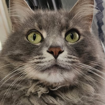 BiaCourlin's profile picture. It's NubbieDX! - 17 - Artist and Music?!

Suggestive Artist

Times Three | I can be your liaison!
something simple you can settle on...