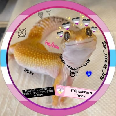 littlcosplayboy's profile picture. ✨22✨
//He|Him|His//Nickname is Gecko//
🏳️‍🌈Gay/Ace/Ftm🏳️‍🌈
🍥Cosplayer/Anime Fan🍥 OOC Account:https://t.co/jYZOEABBNK