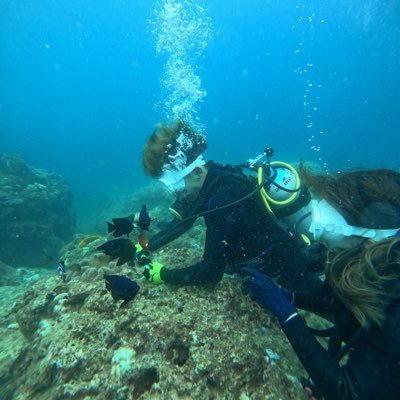 REP_LINEgin's profile picture. 音楽の勉強してたが、いつのまにかFXトレーダーになりました笑。裁量×プロップトレード×コピートレードの三刀流で目指せ脱サラ！無言フォロー失礼します🙇‍♂️#fx #fxトレーダー #コピートレード #プロップトレード　#相互フォロー