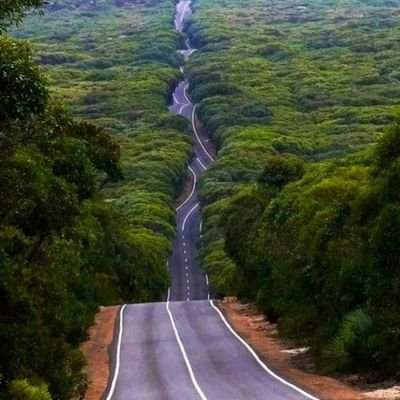 enrialfre's profile picture. Venezuela primero... Luego voy a mi