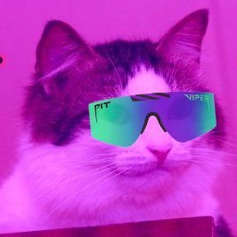 myvillage123's profile picture. Trillcat lifestyle ✨ ⚔