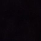 5ripk's profile picture. smh