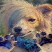 mewsicnote's profile picture. (more active somewhere) 17 ⚢ unicorn seal girl