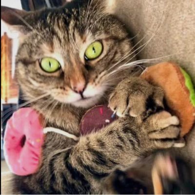 Rickyfanonly's profile picture. comedy god