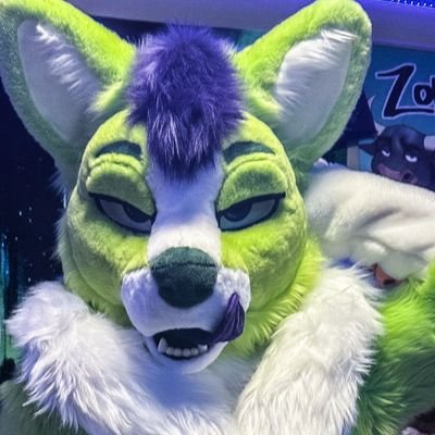 VersedMood's profile picture. Male | Gay | NC | 26 | Single | NSFW 18+ | TG@ Versedmood | DM’s Welcome | Suits from @CCFursuits & @Sittin_Kitten