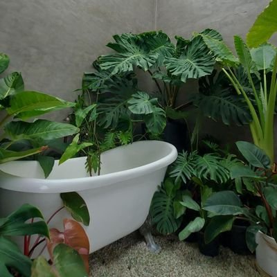 Newkron222's profile picture. ท่องเที่ยว