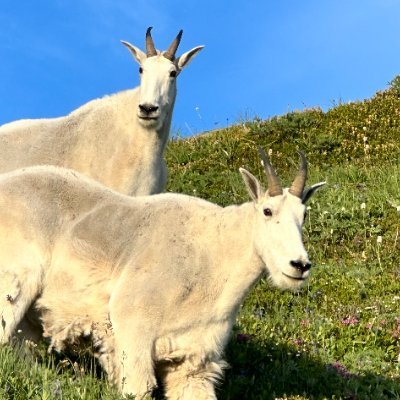 ElliotMichlin's profile picture. 