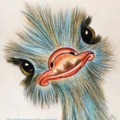 HaipKim's profile picture. Nurse - Retired;Dog Mum;Wife & Mum to Humans;Drinker of Sangria;Die Hard Winnipeg Blue Bomber Fan;#ForTheW