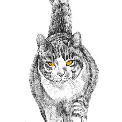 BetyAlves8's profile picture. ex-professora