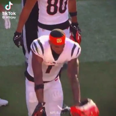 OinkFish_Pigs's profile picture. I talk abt random stuff sometimes. @warsnatcher #dubnation #mondfc #chiefskingdom #gobuffs #MedievalPigFC