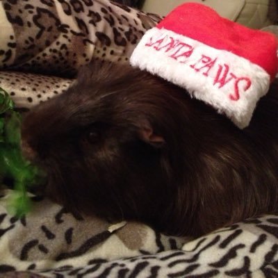 iconicmoon74's profile picture. Bio | and probably some more important info like idk male and born 2005 so I don’t have to update my age every year “just maths it “ as Nike would say