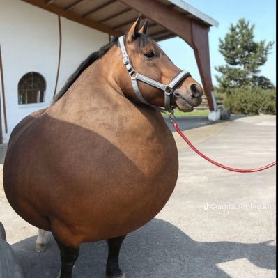 mqrkzs's profile picture. 