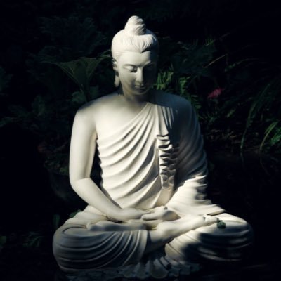 tstarwon's profile picture. 