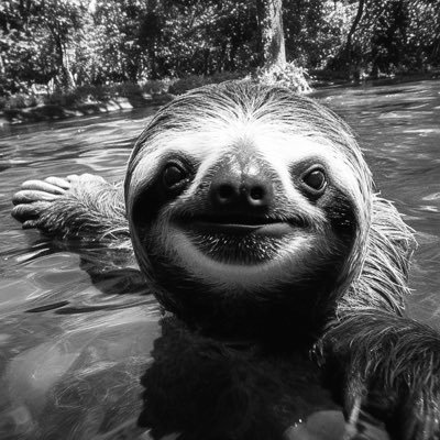 meninoprodigy's profile picture. prodígio.