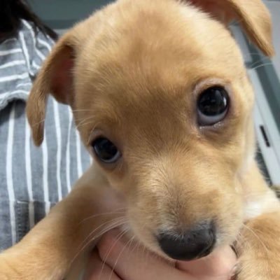 not_a_nan's profile picture. 