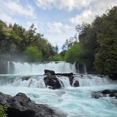 Agarrigoel's profile picture. Estudiante