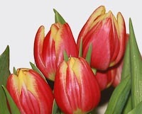 Sawatulp's profile picture. 