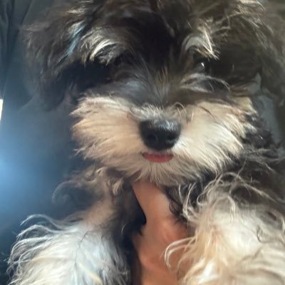 Dn_0005's profile picture. 