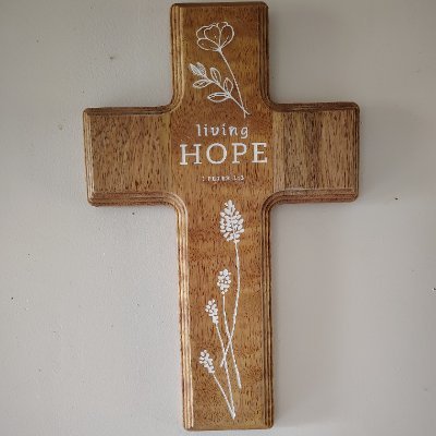 shockeye24's profile picture. 