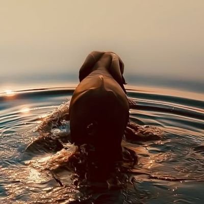 decolores444's profile picture. rinconcito de entretenimiento frikirealities