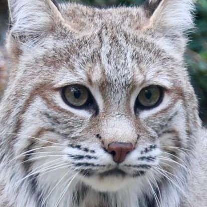 MetsomeGuy's profile picture. only 🔞
 Long live Ukraine!
Bi/26/
I do re-tweet NSFW sometimes
NAFOtards and Ziggers are not welcome
@TheTrueMets (alt)
BULGARIANS DNI
🗣️🇺🇦🇬🇧🇷🇺🇫🇷(5%)