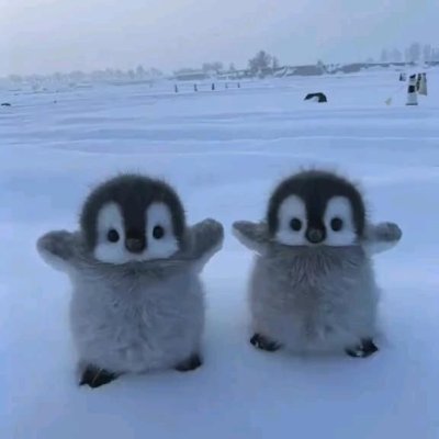 maple939206's profile picture. 院28卒