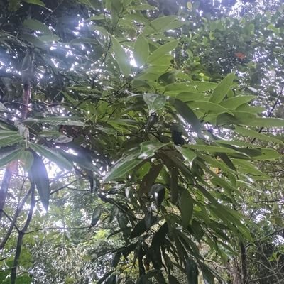 sunilsocl's profile picture. 