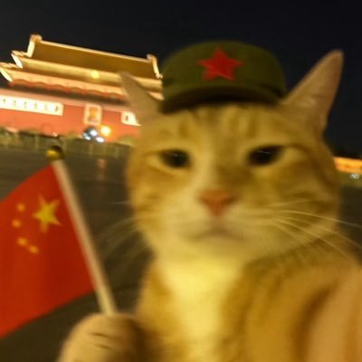 fll2308's profile picture. 欢迎互fo互赞  江西风景独好