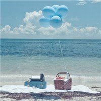 NAUYDD's profile picture. 