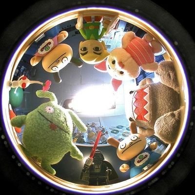 kunciselaras's profile picture. 𖥔ׁ ׅ pockᧉt-zꪱp 📂